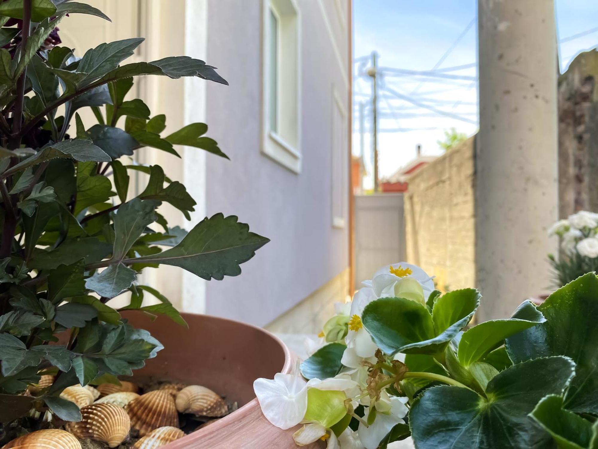 Northgate Apart-Villa Shkodra Exterior foto